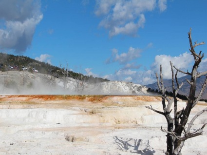 Sightseeing Tours, Travel Packages and Day Trips from Tours4Fun.com